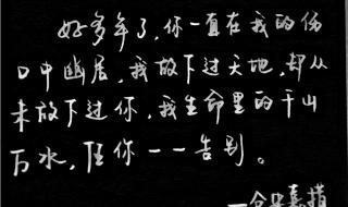 白字加一笔大全20个