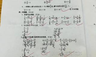 六年级上册数学期中