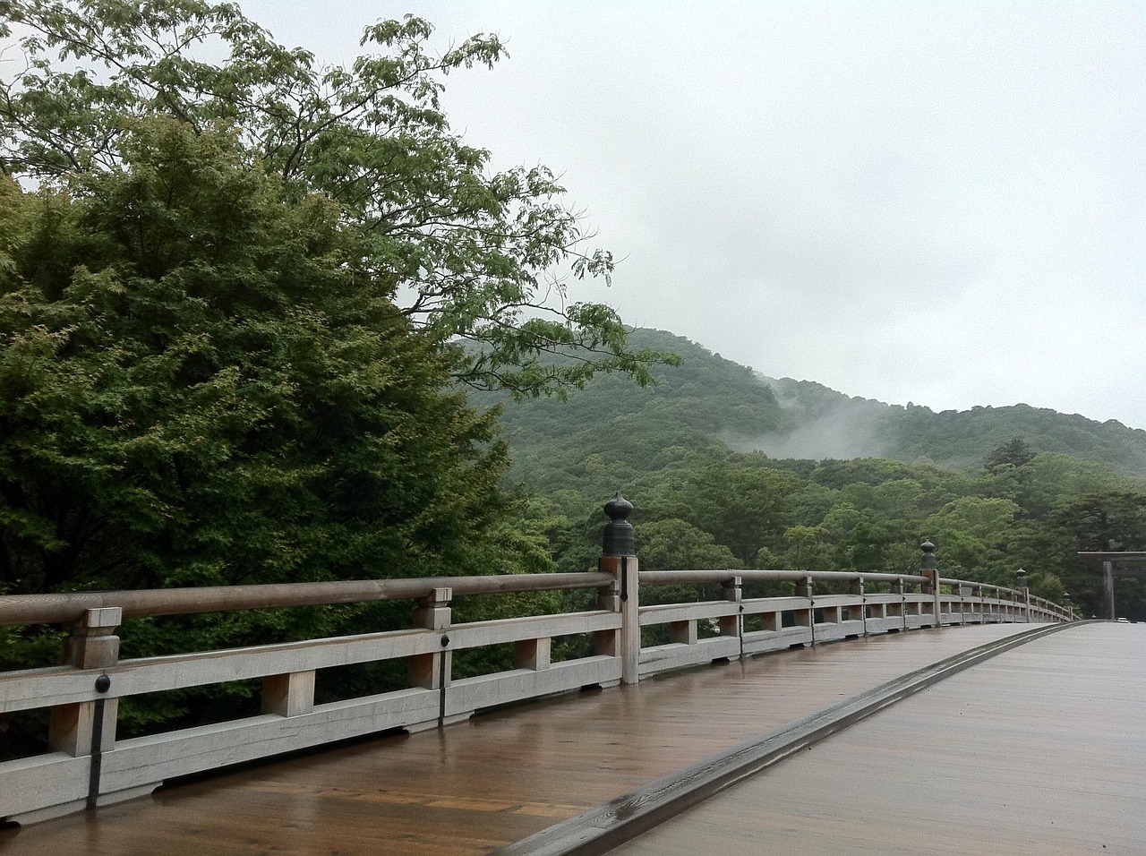 帽儿山之旅，一次难忘的旅游团体验  第1张