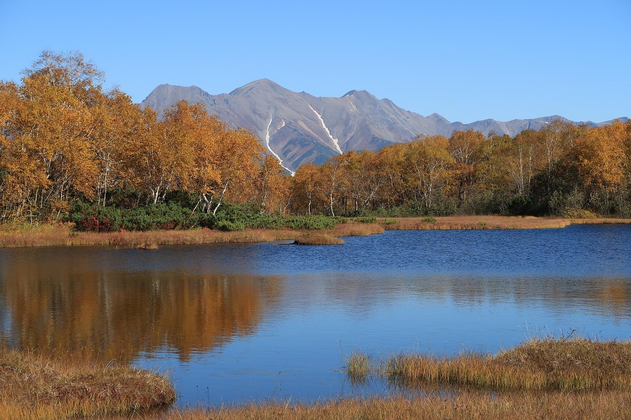 锦州中旅旅游线路报价，探索美丽风景，享受舒适旅程  第1张