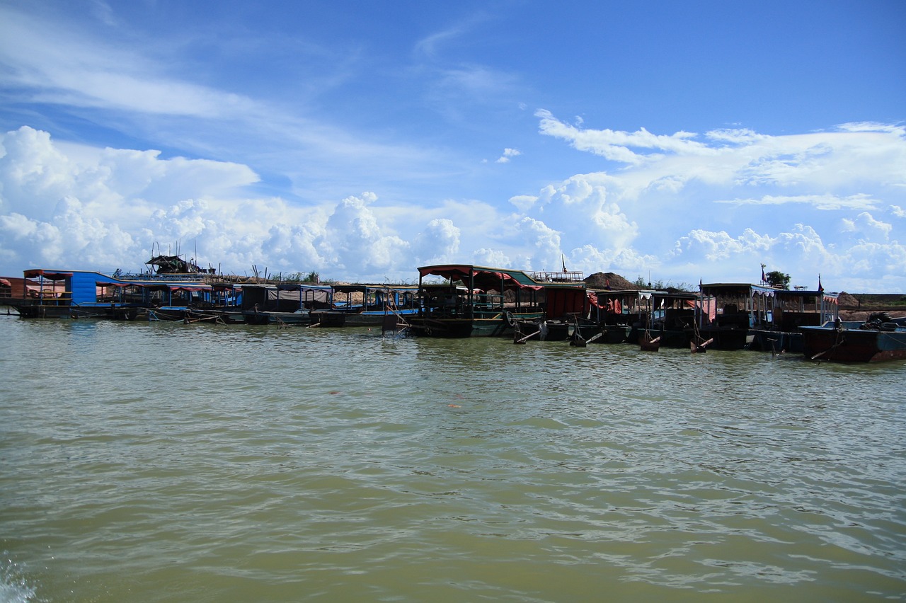 浙江悠悦旅游，探索与体验的完美结合  第1张